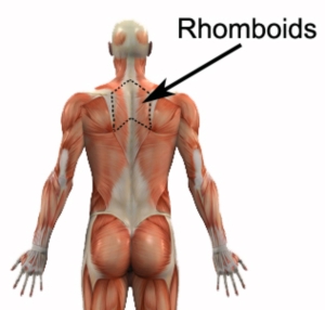rhomboid  graphic