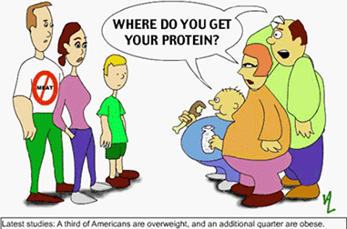 cartoon image about protein